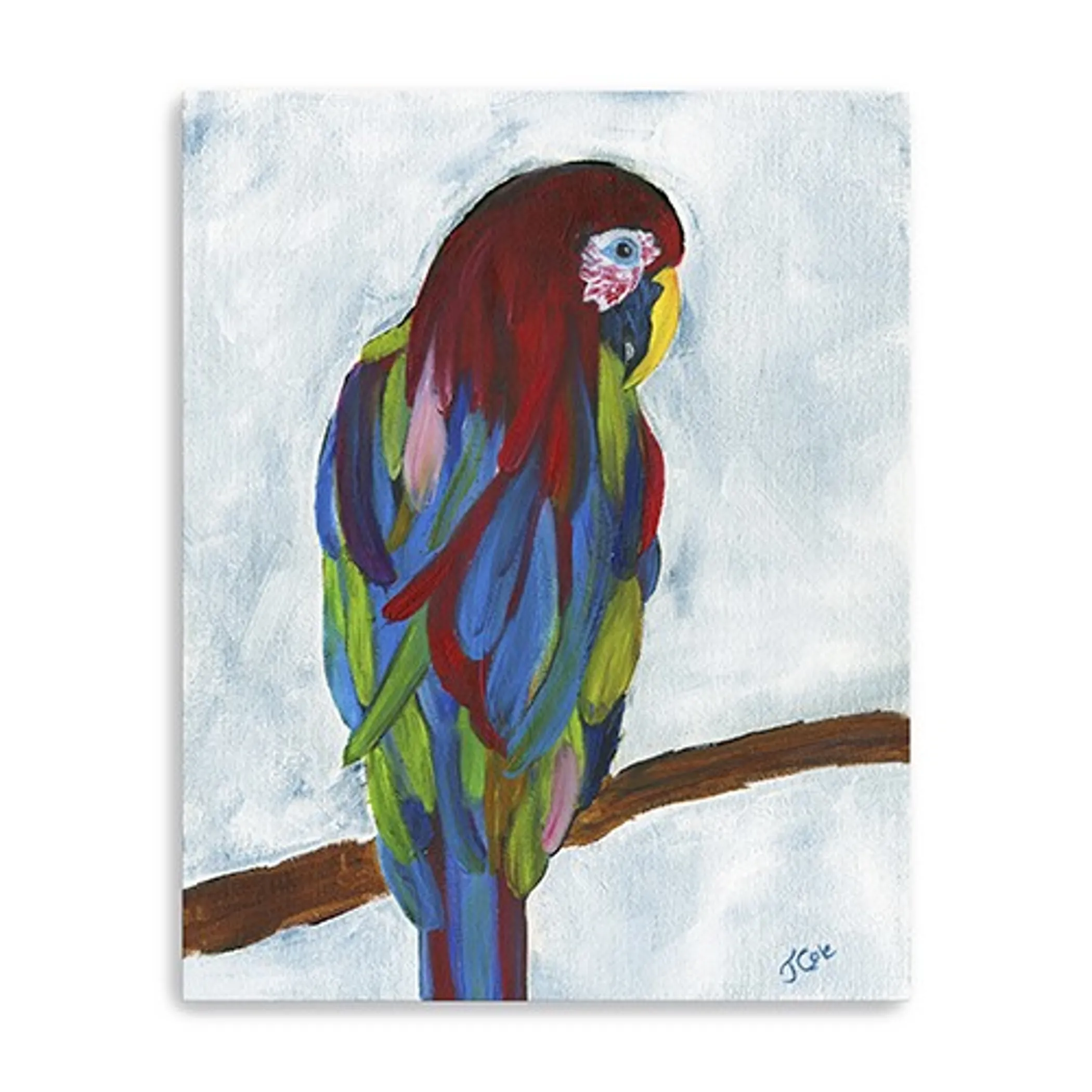 Tranh canvas vẹt nhiệt đới rực rỡ khổ lớn 76cm x 61cm