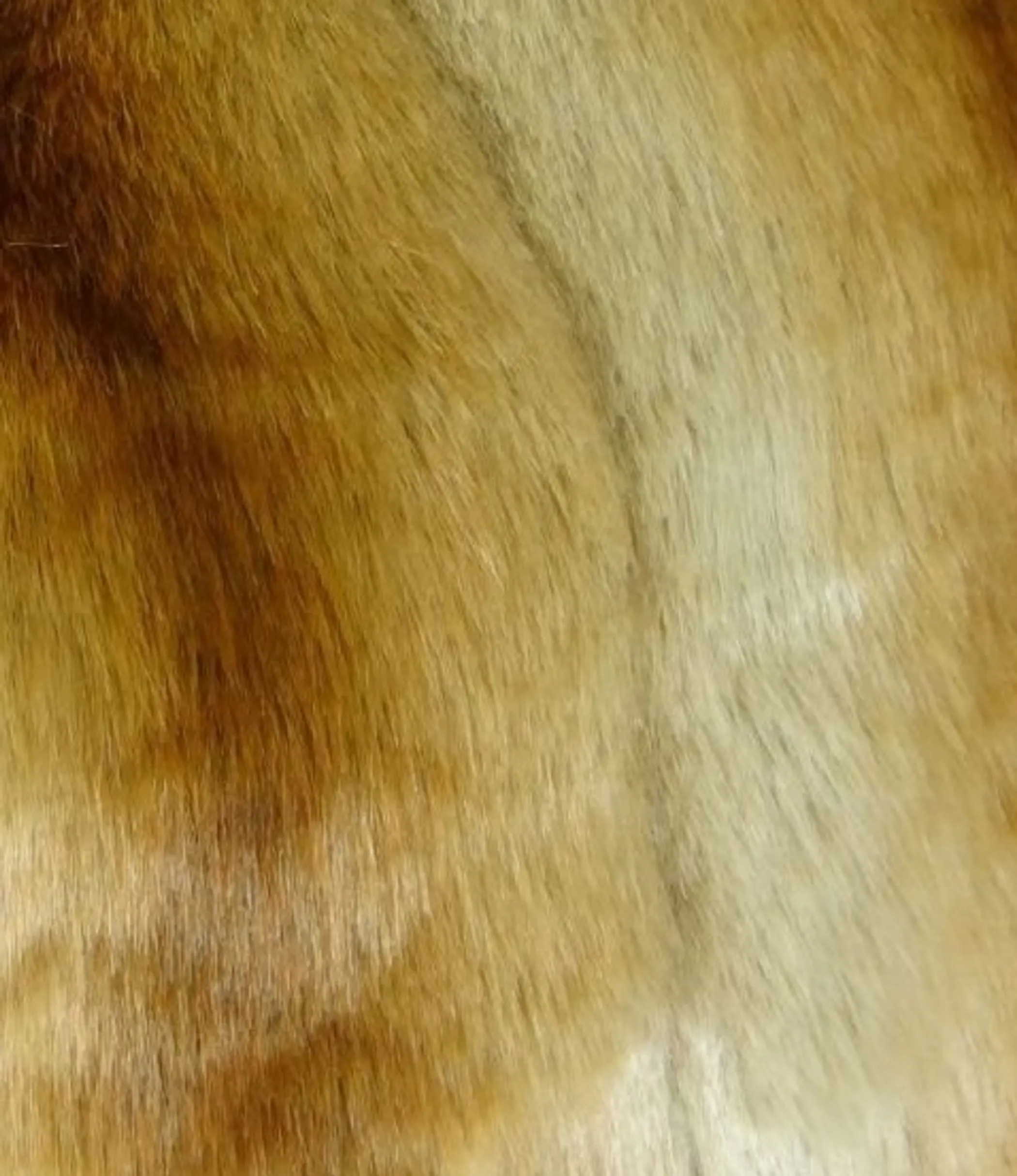 Gối tựa cao cấp thủ công Plutus Gleaming Chinchilla màu vàng đồng, be và nâu - Ảnh 3