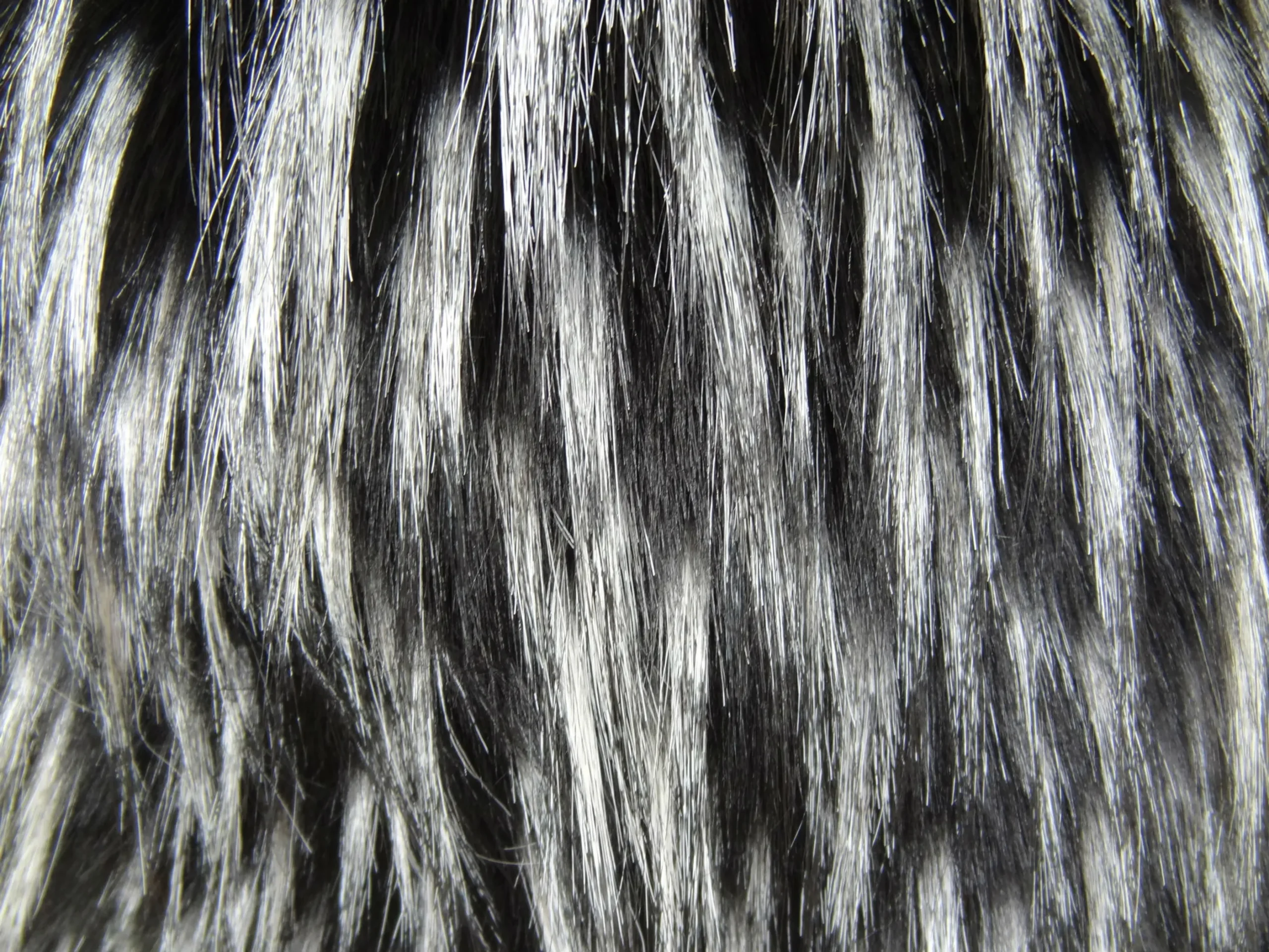 Gối tựa cao cấp thủ công Plutus Wolf Fur Lover màu đen trắng - Ảnh 3