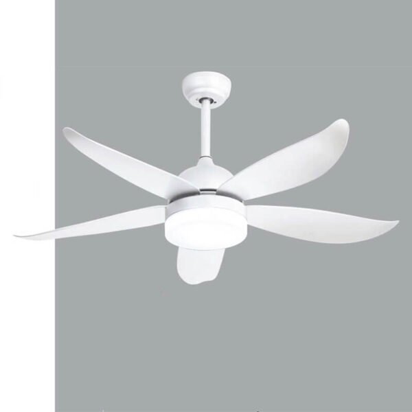 Quạt trần đèn QDR20