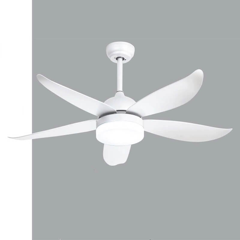 Quạt trần đèn QDR20