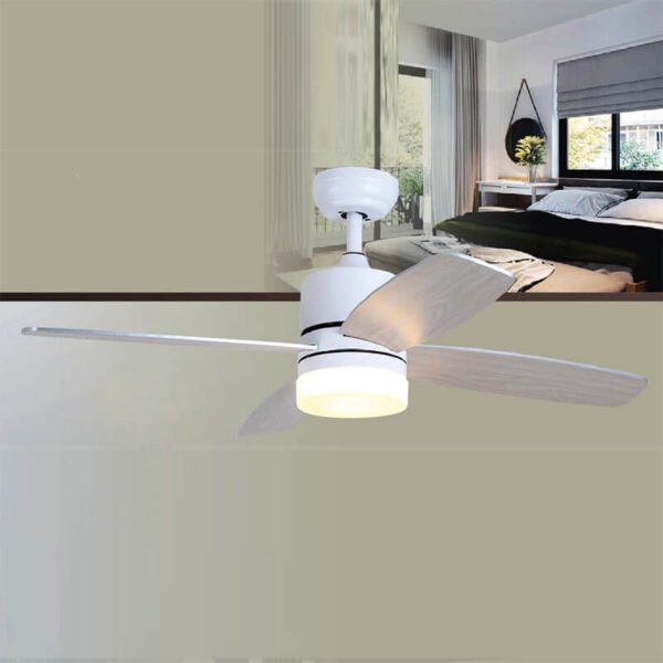Quạt trần đèn QDR40