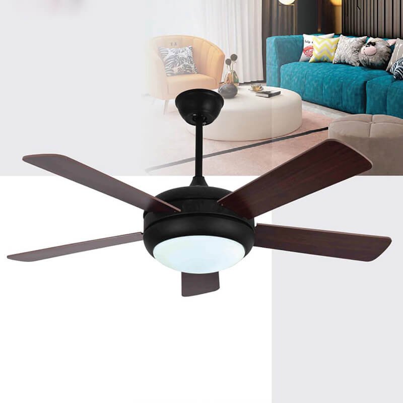 Quạt trần đèn QDR47