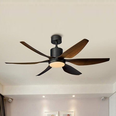 Quạt trần đèn QDV15