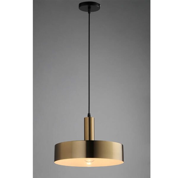 Đèn thả trang trí bàn ăn Ø30cm cao 26cm TVN274