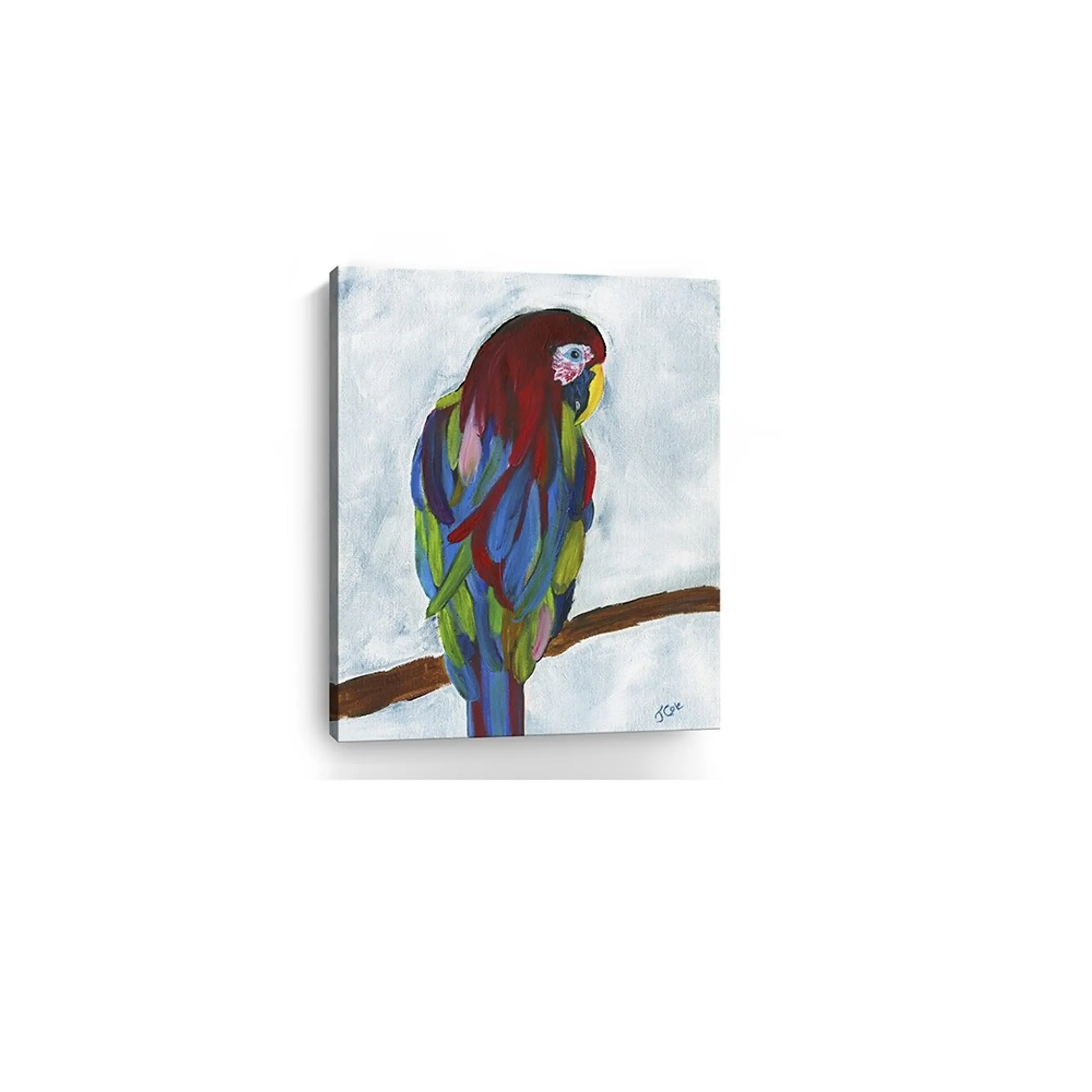 Tranh canvas vẹt nhiệt đới rực rỡ khổ lớn 76cm x 61cm - Ảnh 5