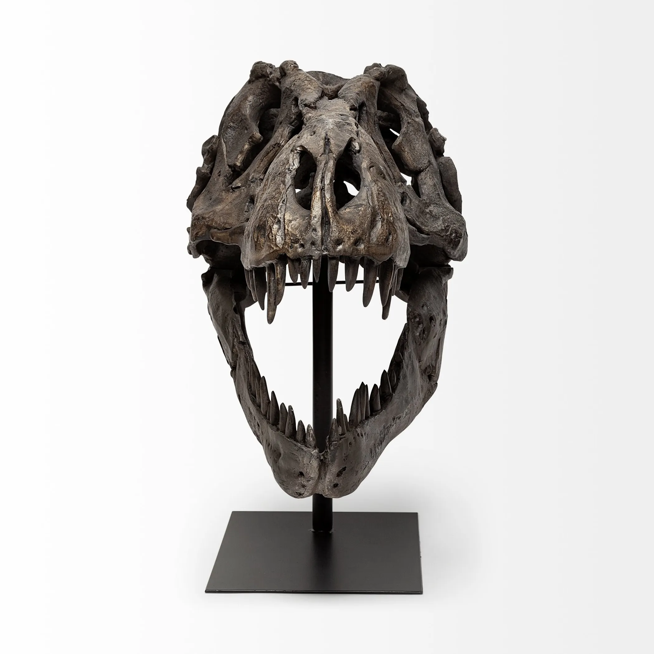 Tượng đầu lâu khủng long T-Rex mô phỏng chân thực - Ảnh 2